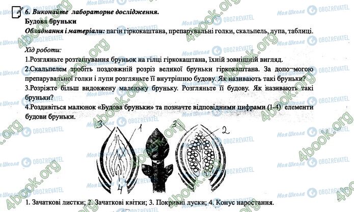 ГДЗ Биология 6 класс страница 28.6